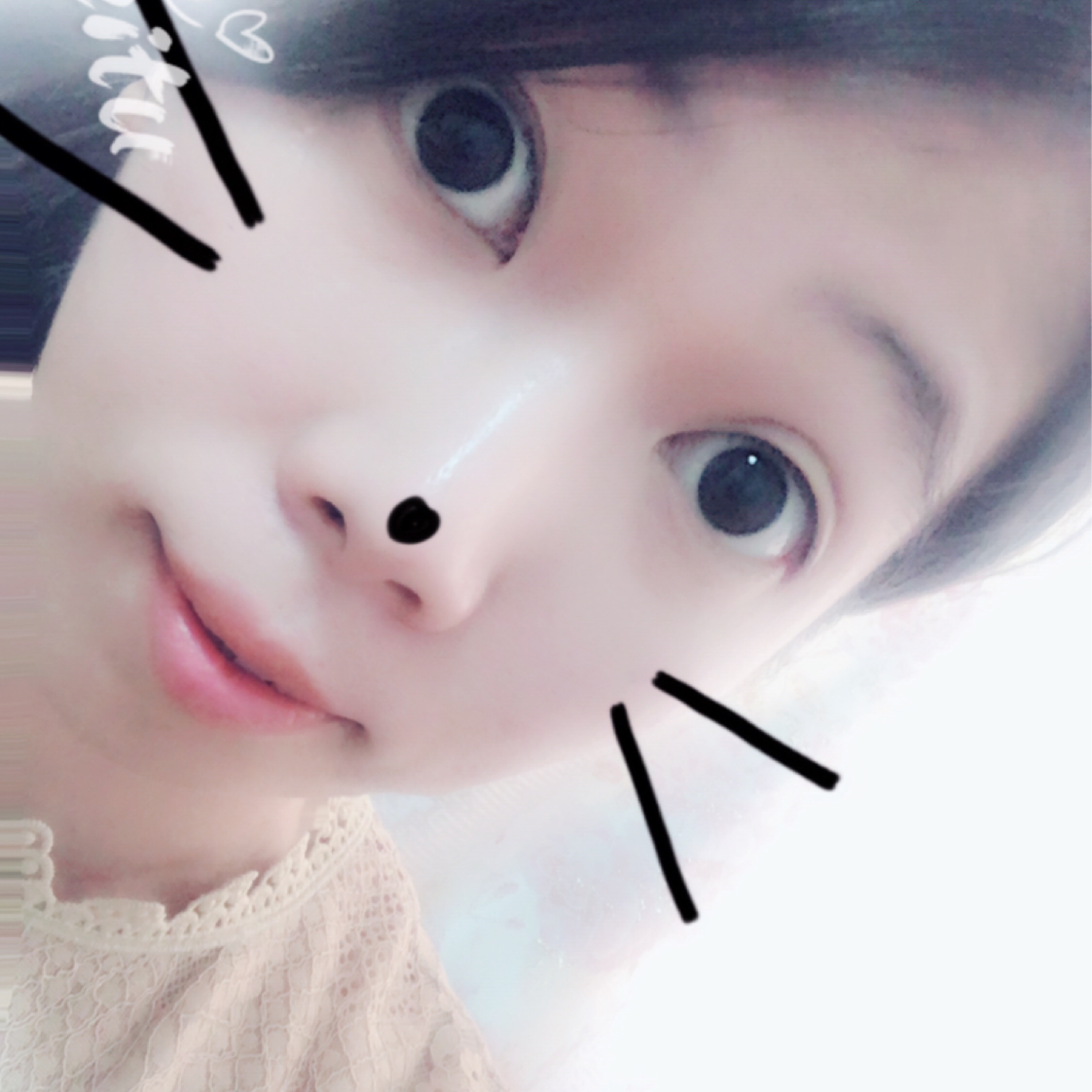 H故事的小黃花H