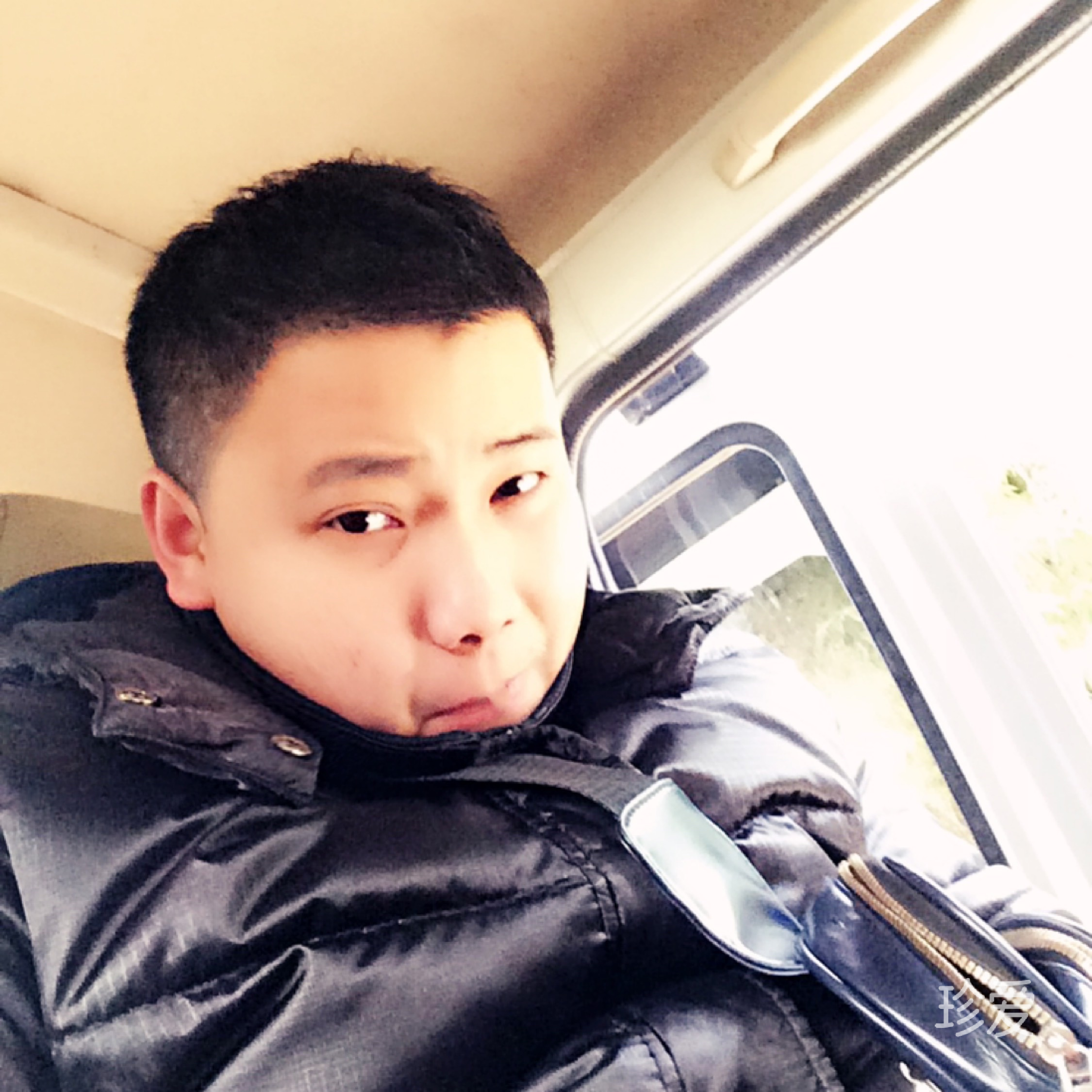 麦兜爱吃菠萝包