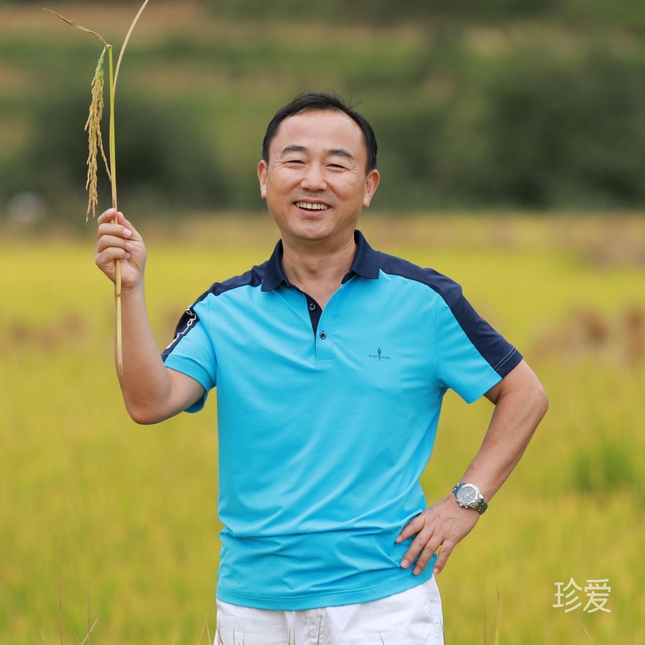 光阴的故事