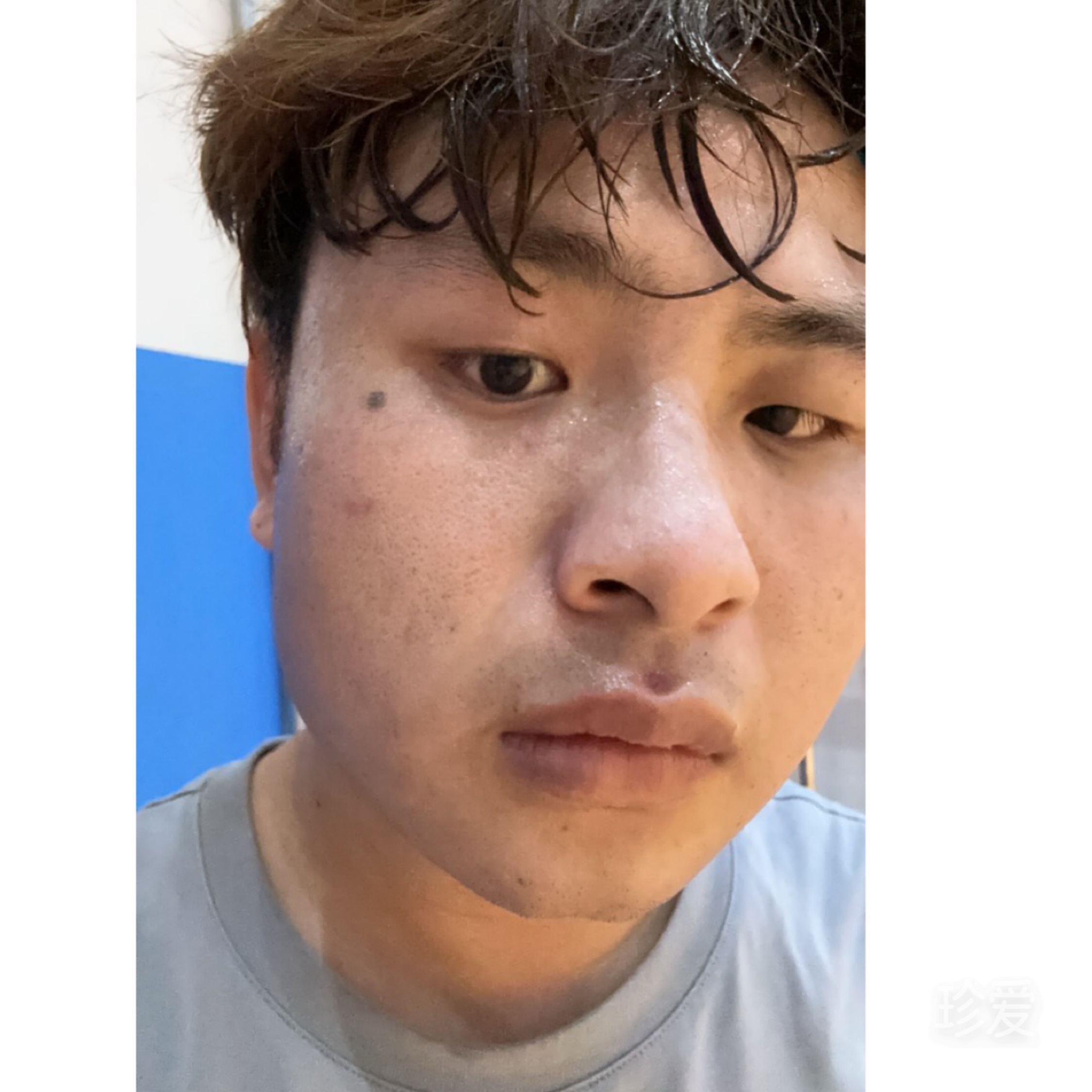 穩(wěn)重的小狼狗