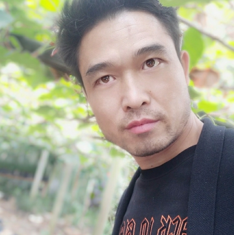 一起去看流星雨