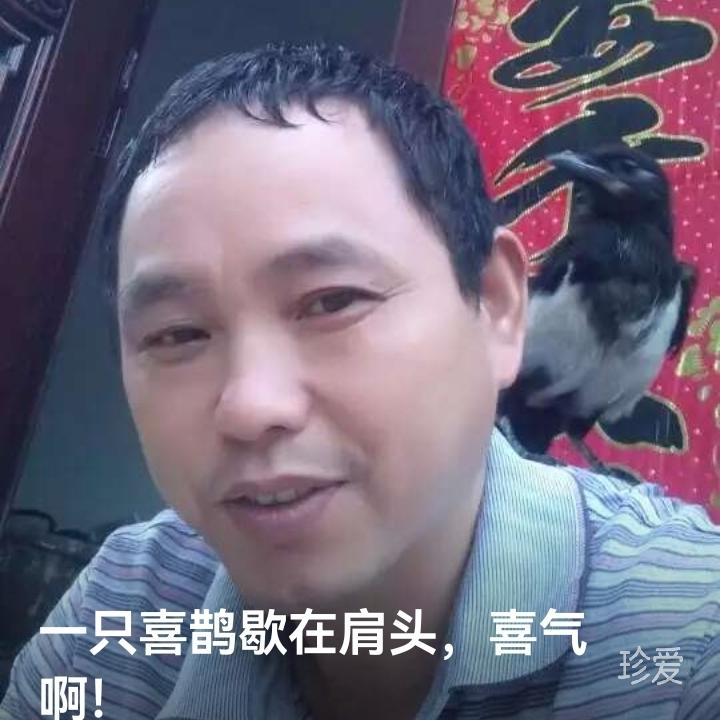 晚年无风无雨