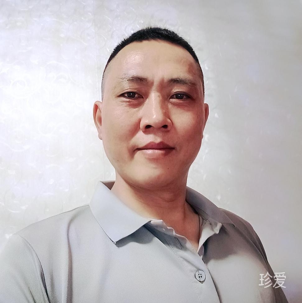 新感觉