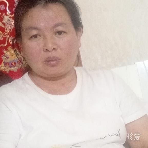 加菲猫