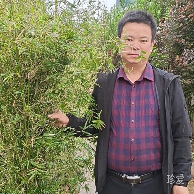 搞苗圃的新農(nóng)人