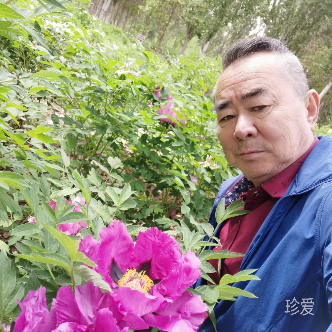 褒贬自有春秋