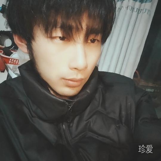 向上