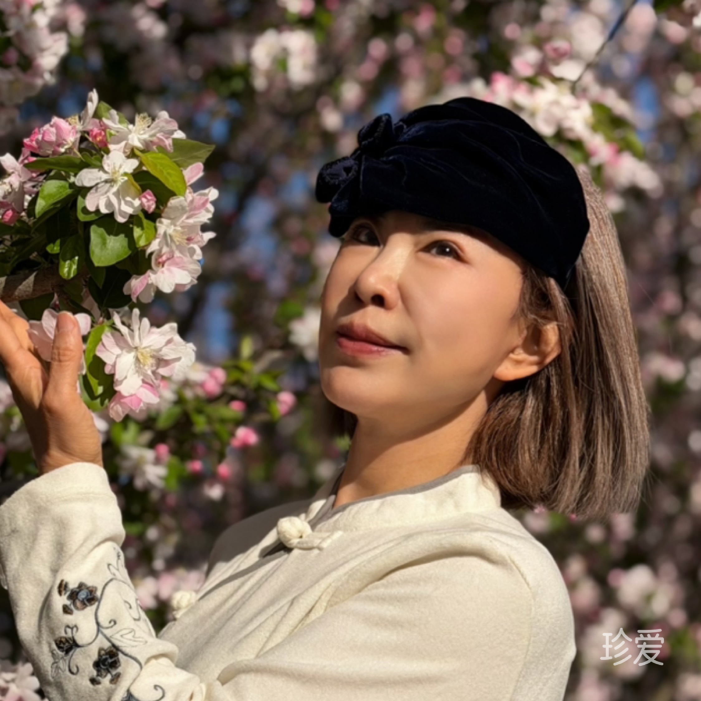 风吹过的季节