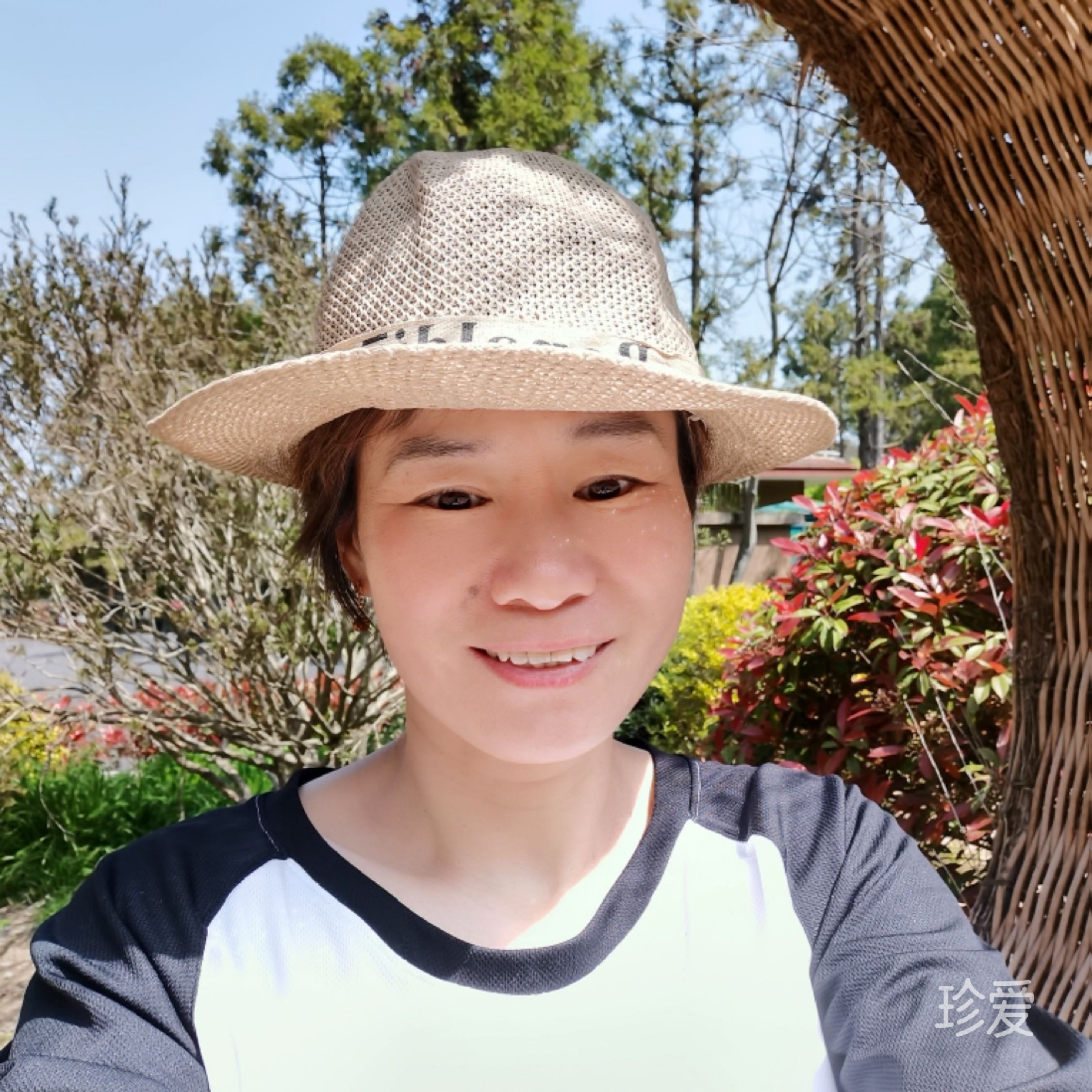 與你同行張小凡