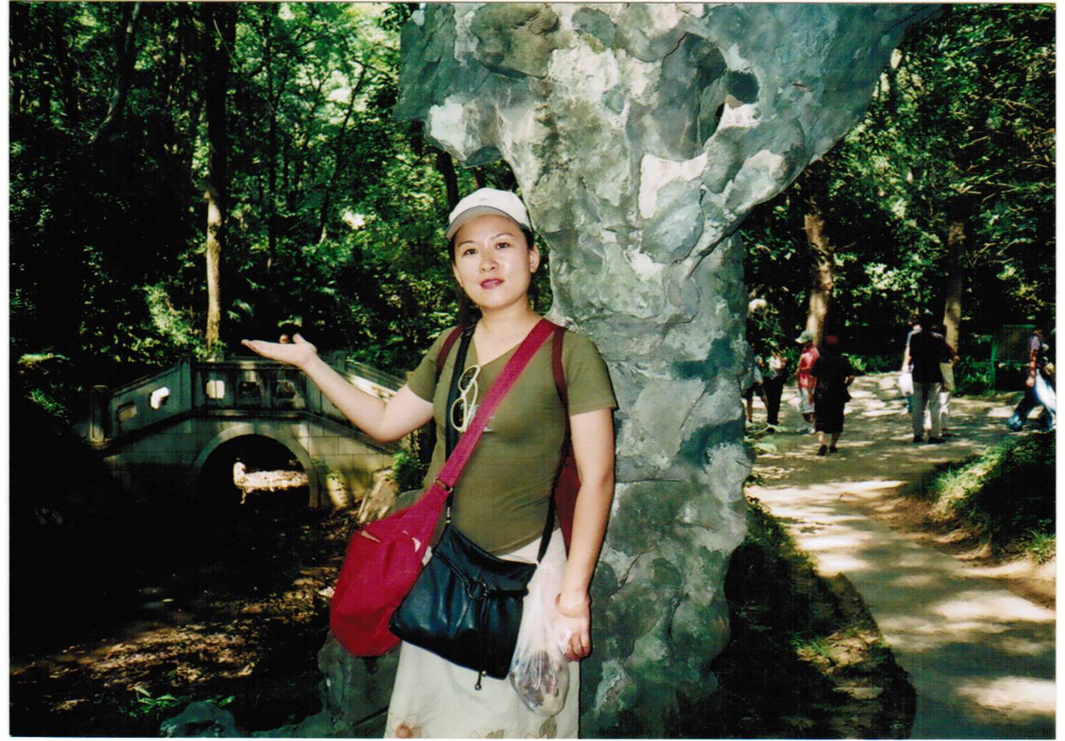 绿叶对根的情意