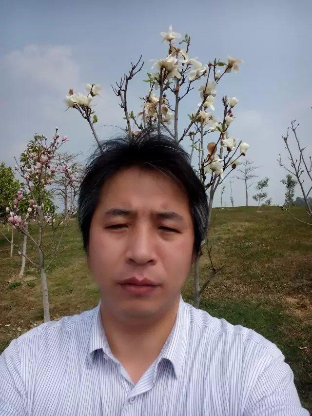 夜色深沉独面孤寂