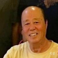 橡树