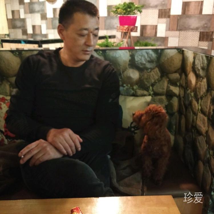 跳動(dòng)的音符