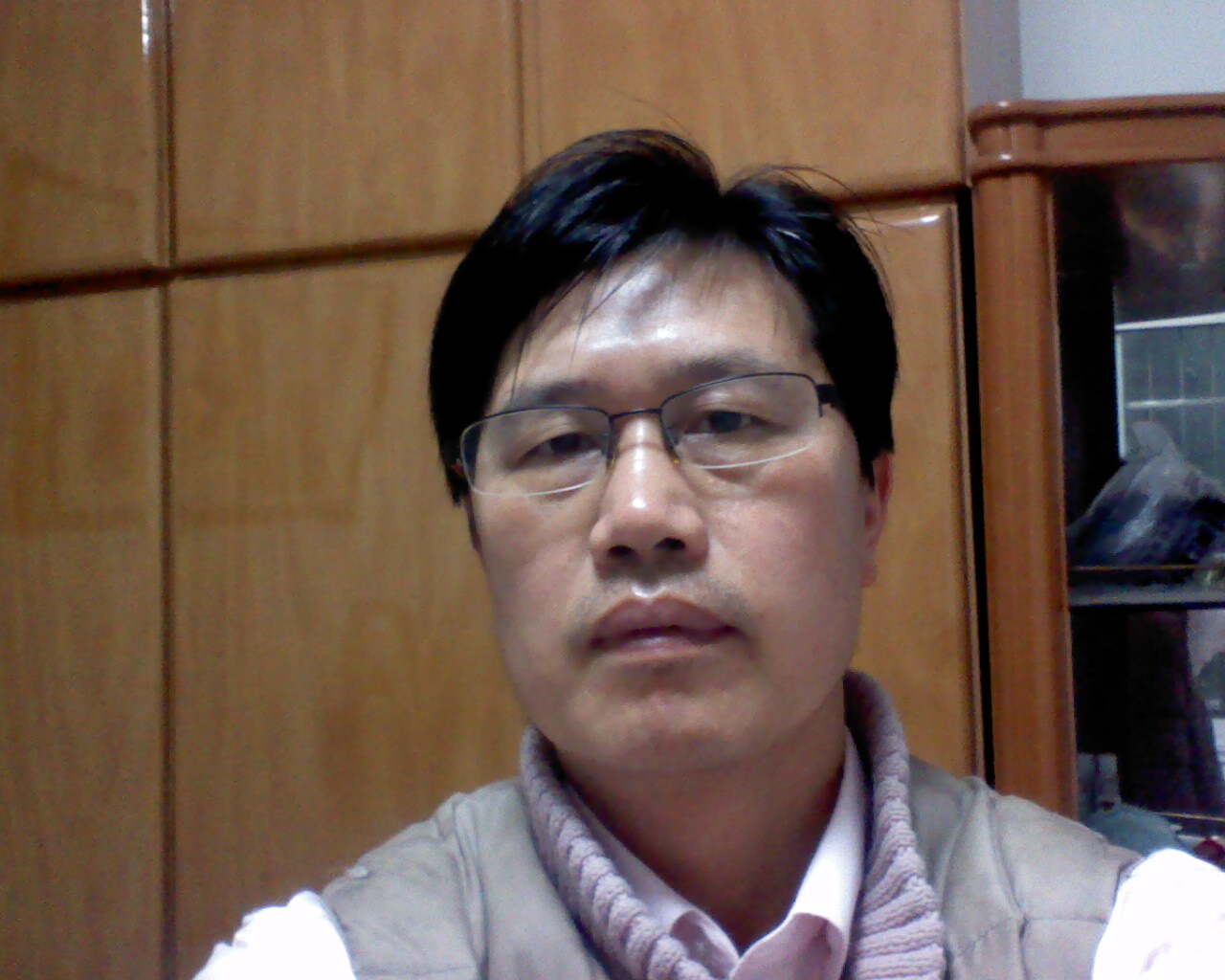 dl陈真