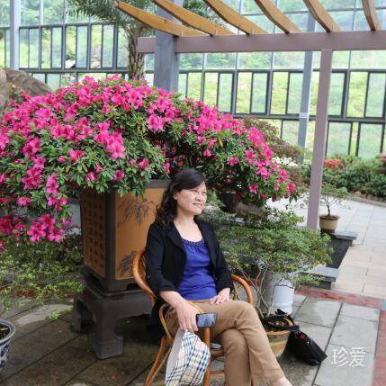 輕輕的一片云兒