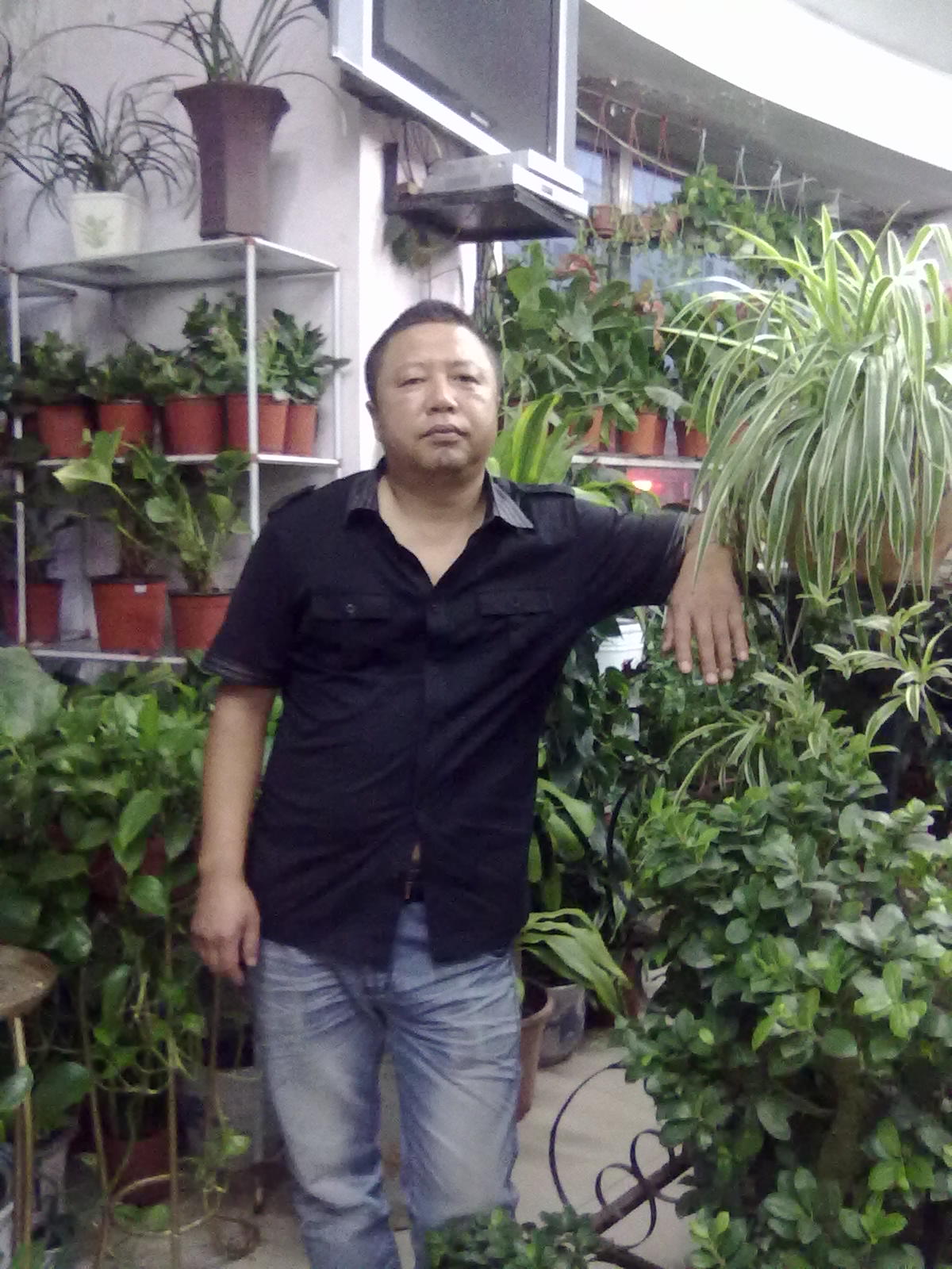 洋洋（蝶戀花）