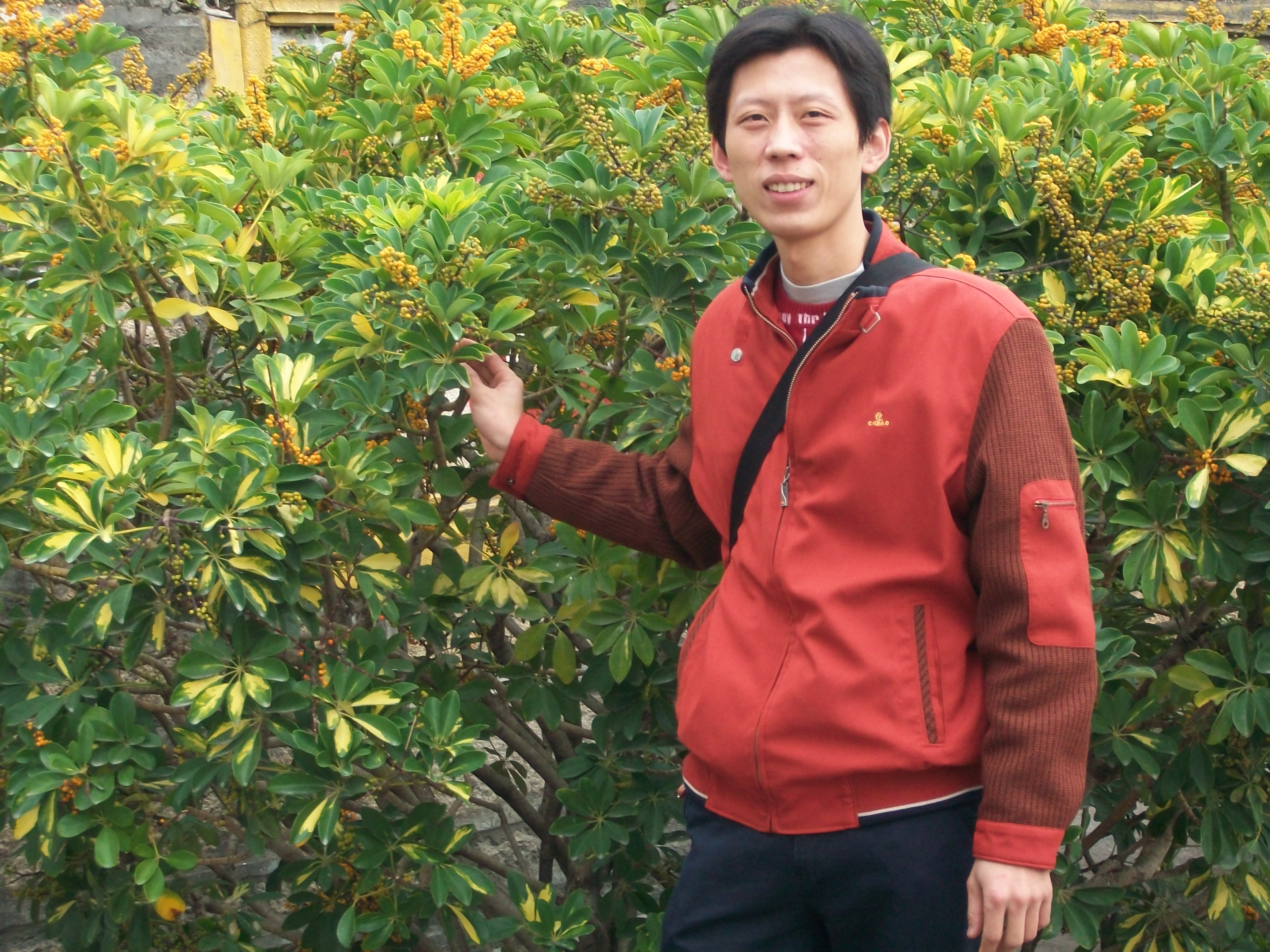 风中浪子
