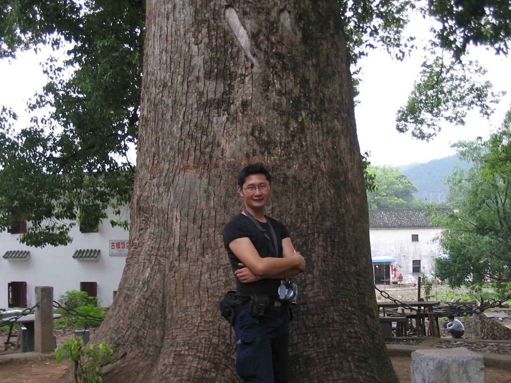 蛋塔王子