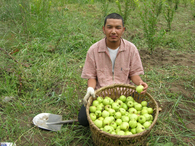 偲舂、小啝尙
