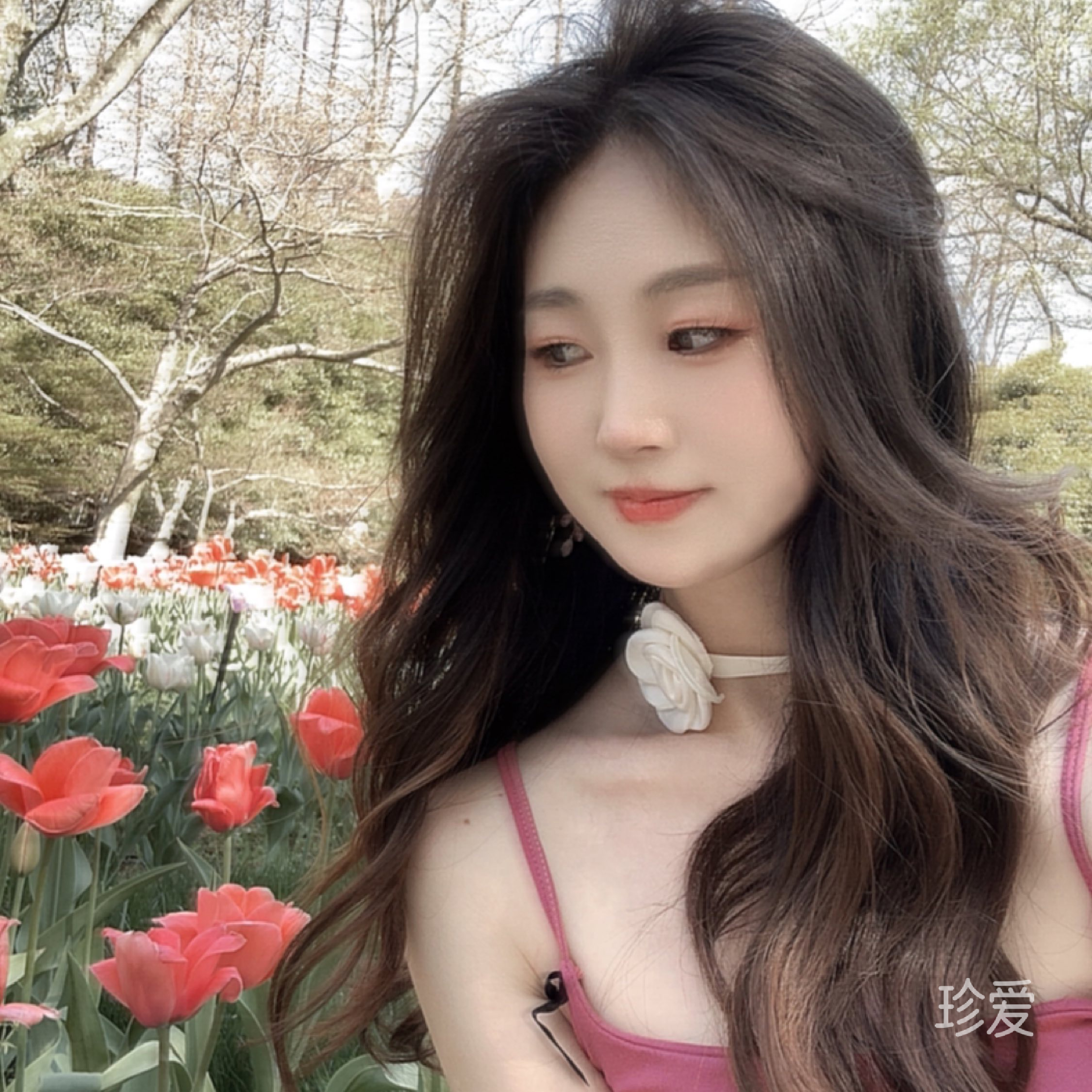 桂妃娘娘