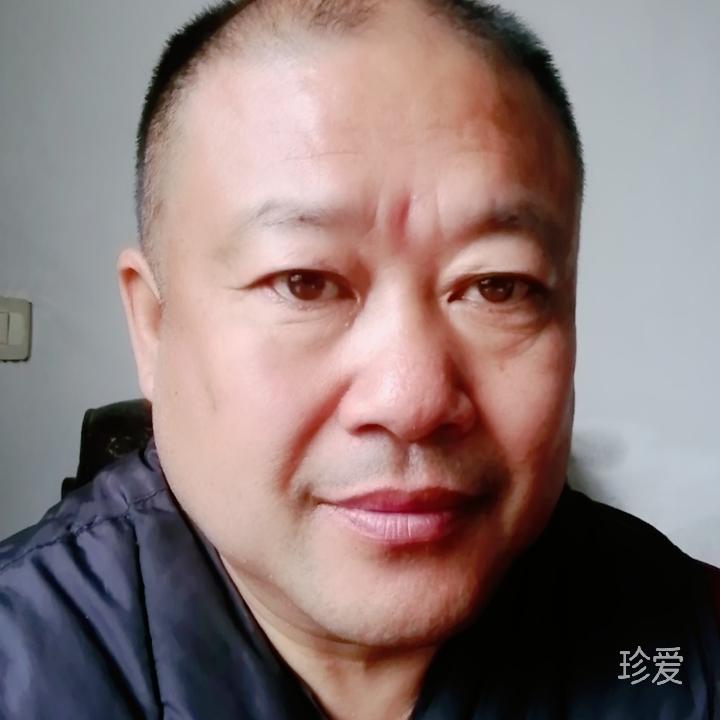 红豆杉