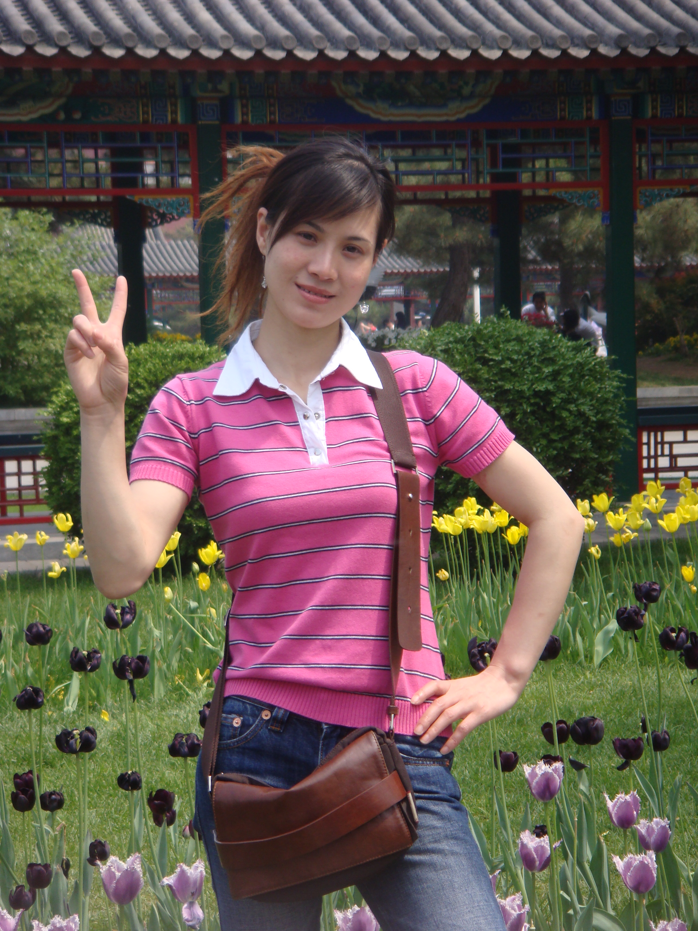 蔷薇花