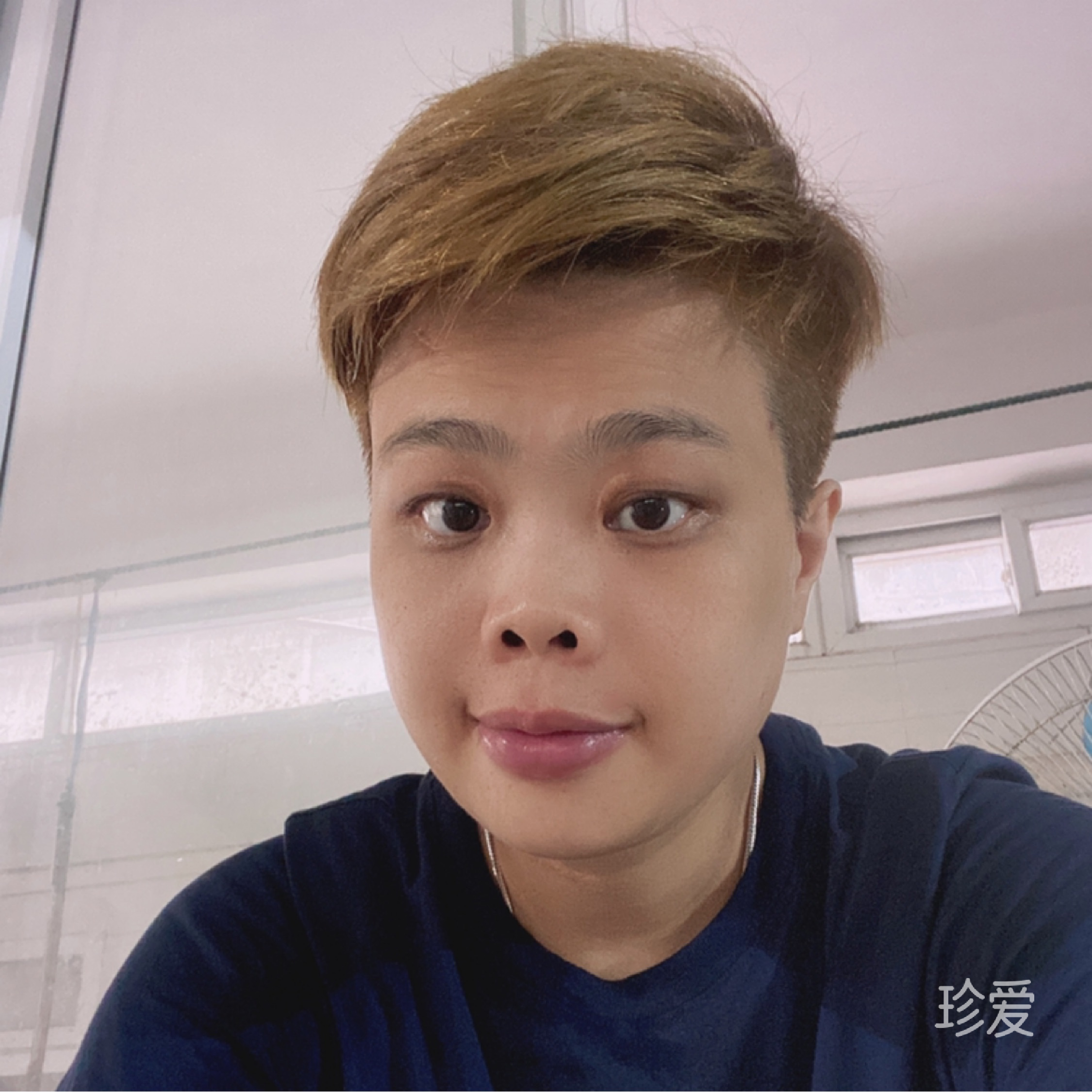 短发的Kit