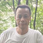自由飞翔