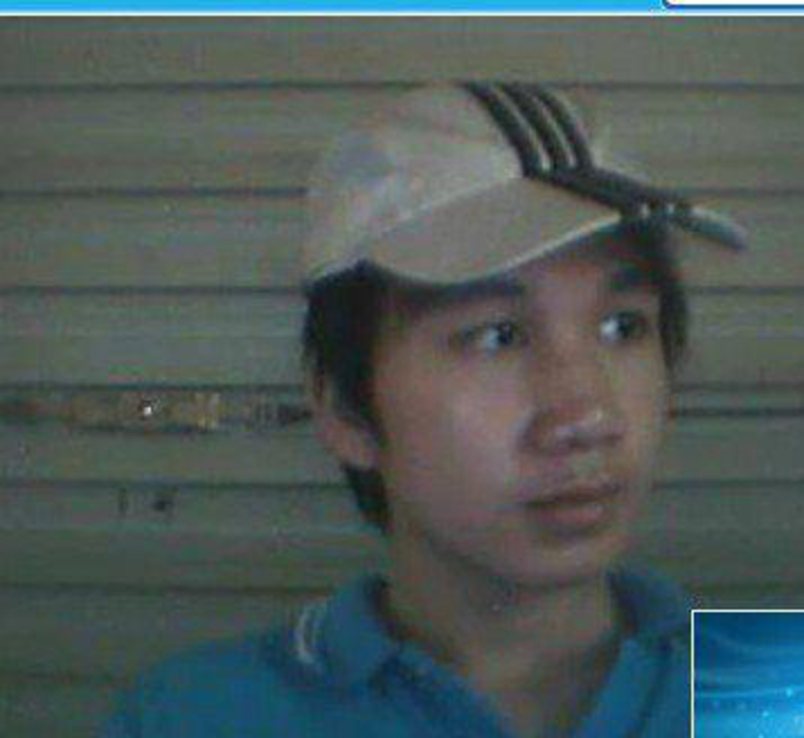 睡在花瓣下的虫