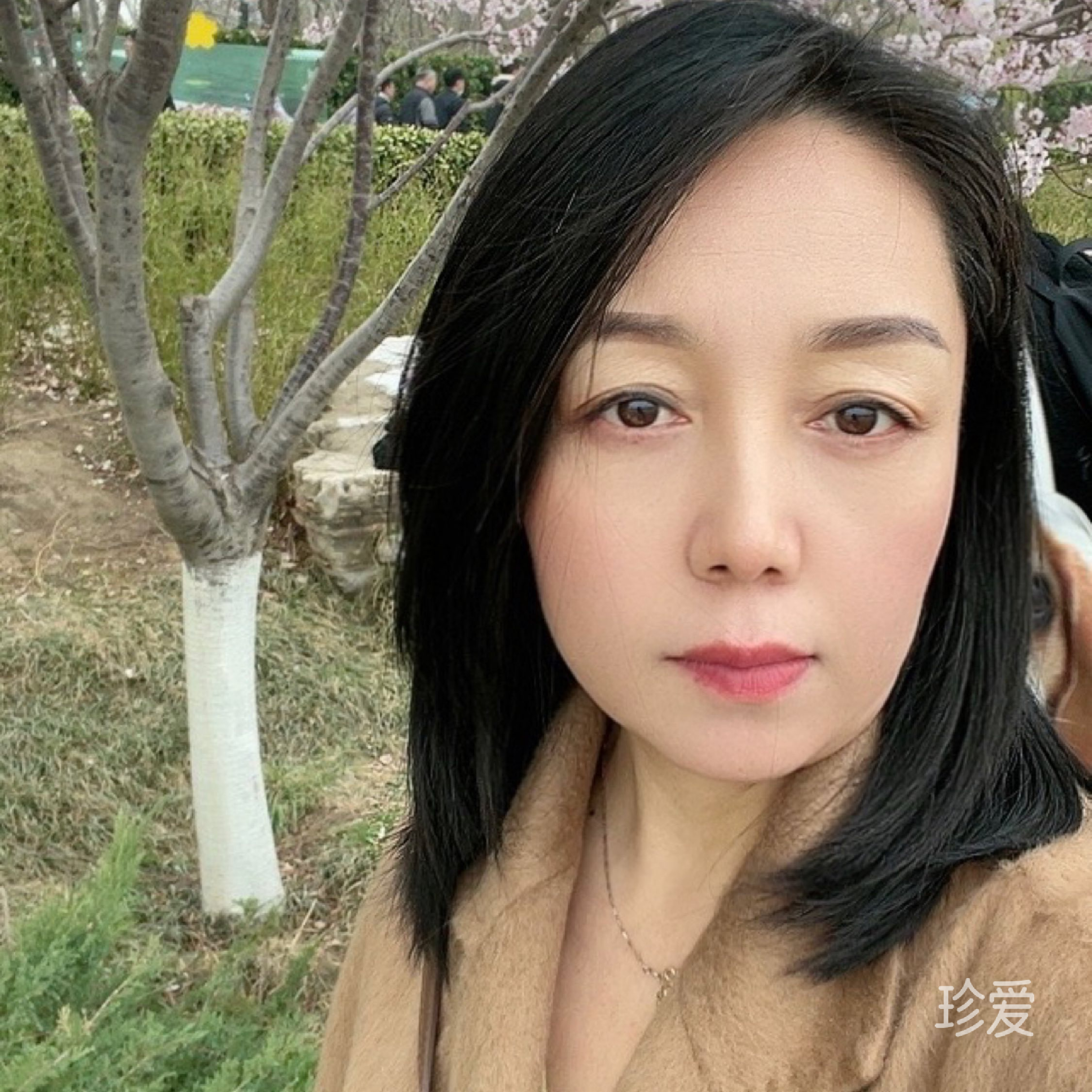 迈向明天