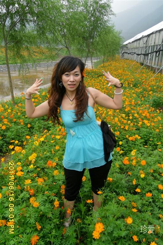 缘去缘来