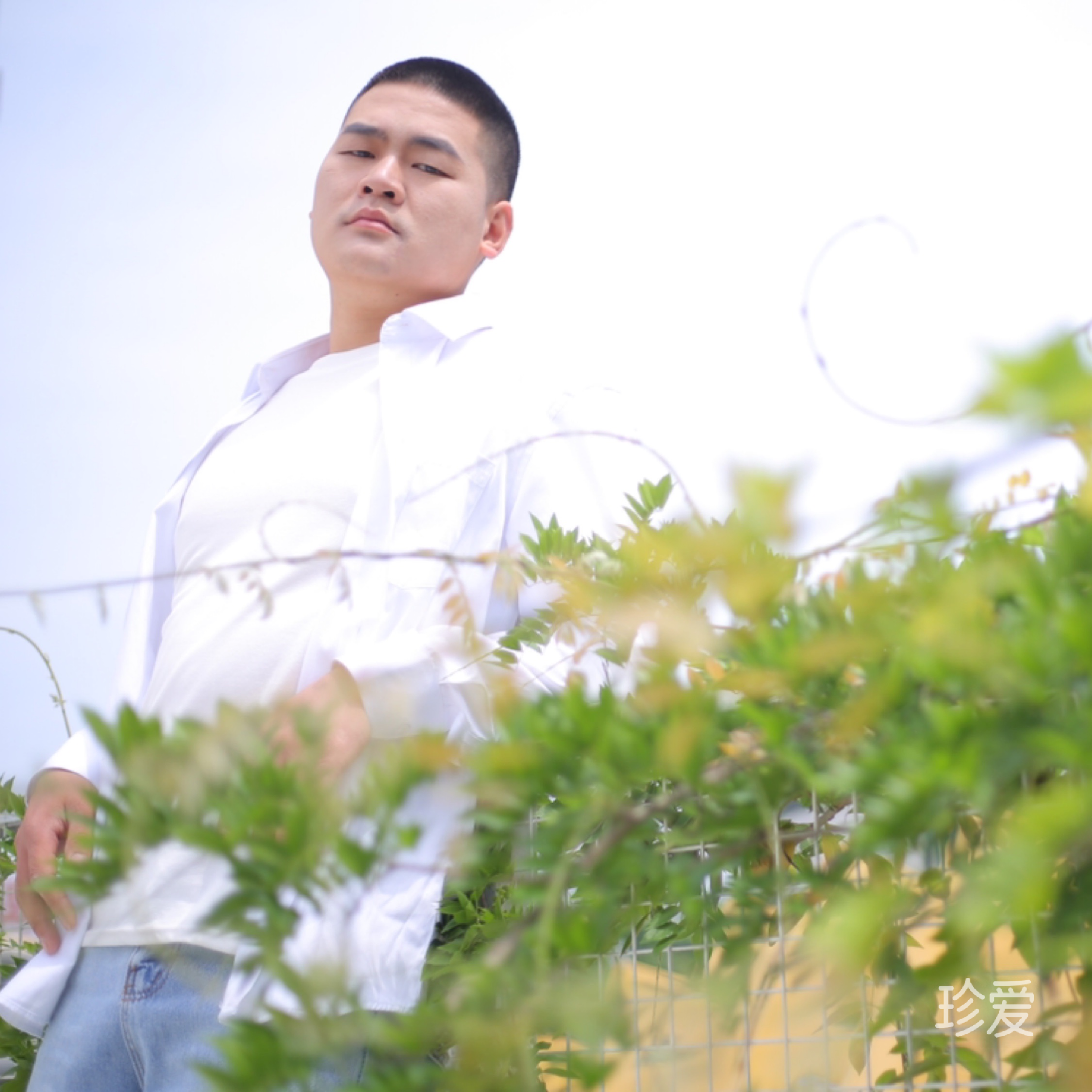 七言八語五點半