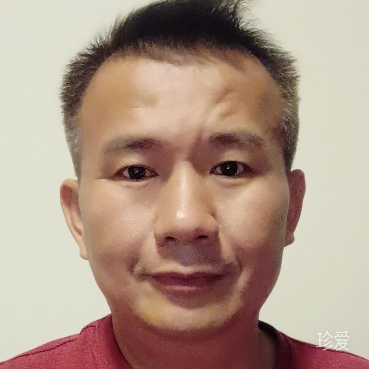 炎夏森林