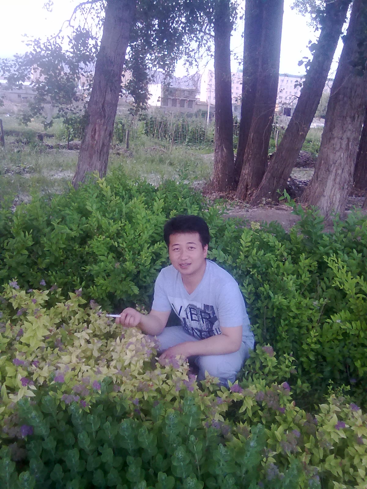 ン花落゜爲誰開゛