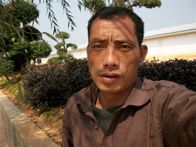 沙漠里的梧桐樹