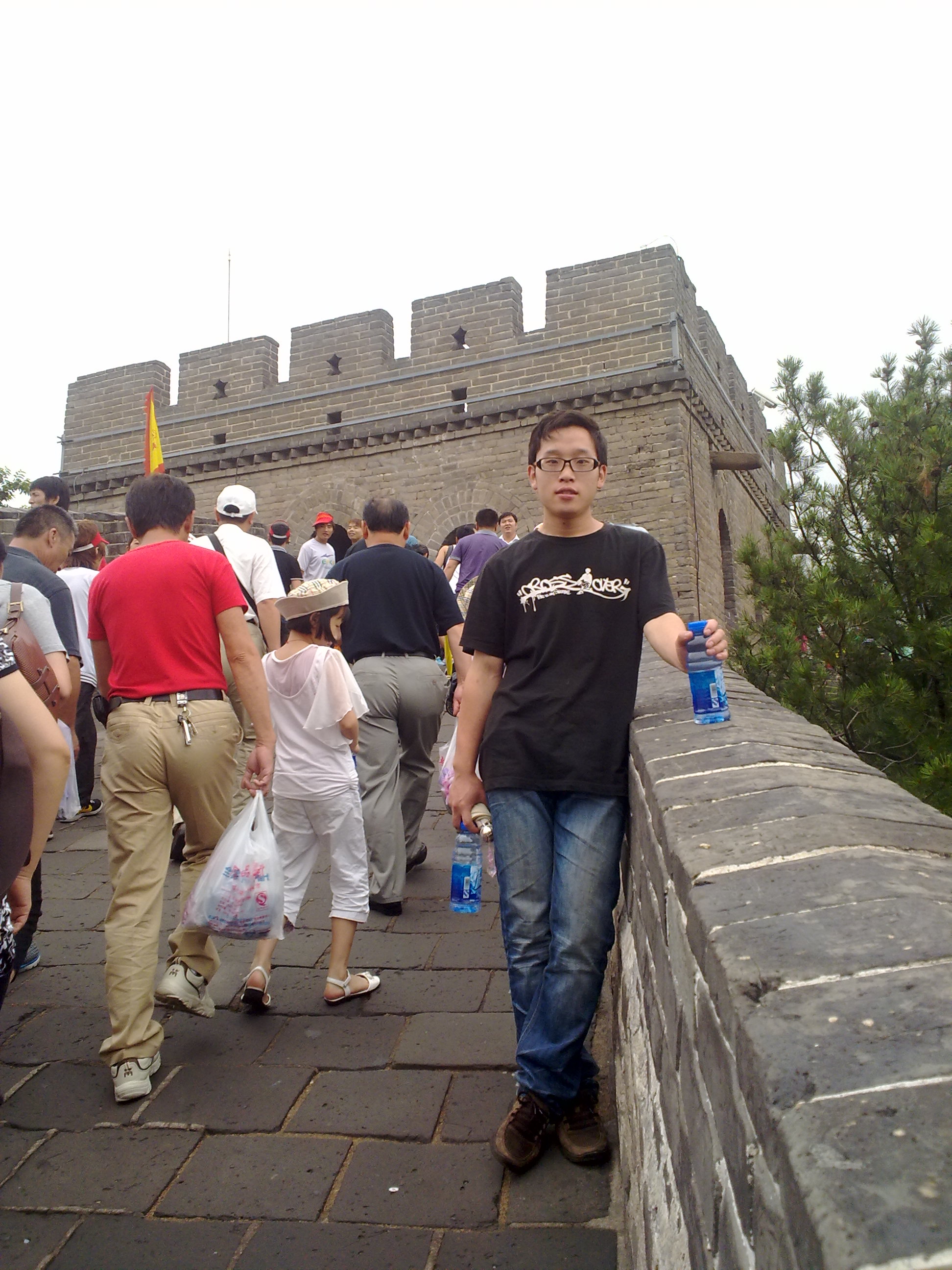 小风捍大树