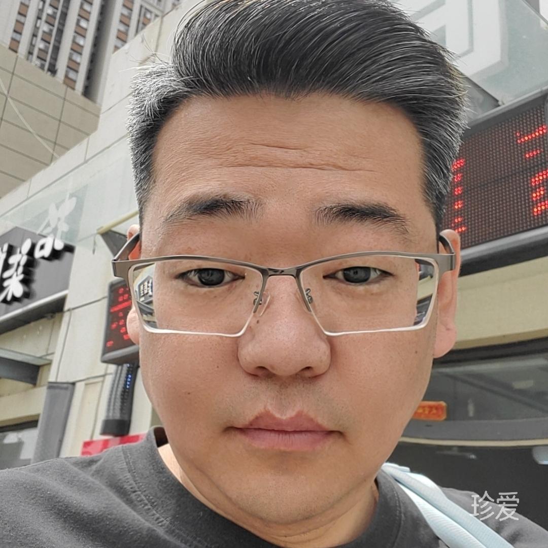 竹影倾風
