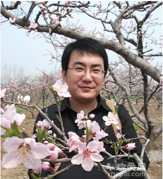 你若成风