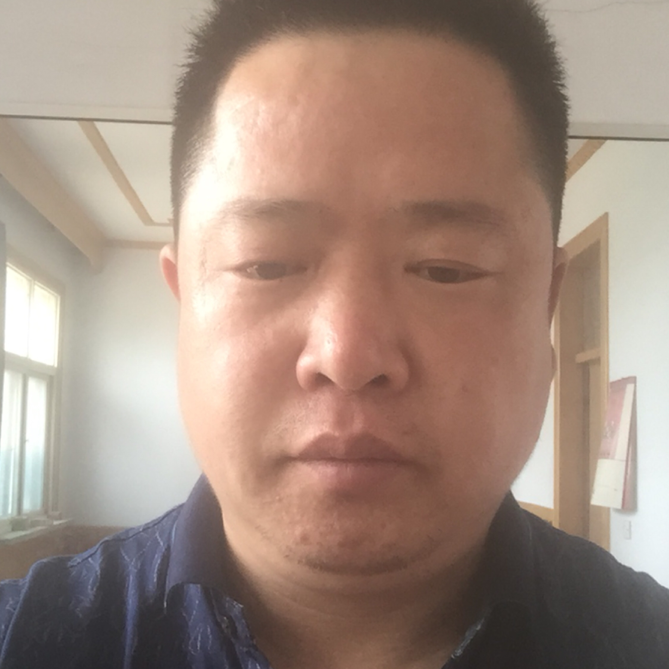 飞鸽传书