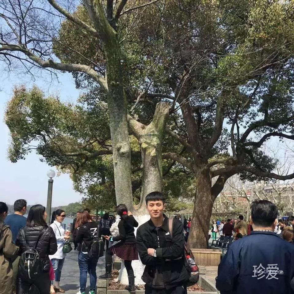 AK大旭