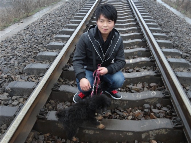 青春、倣肆了骄傲