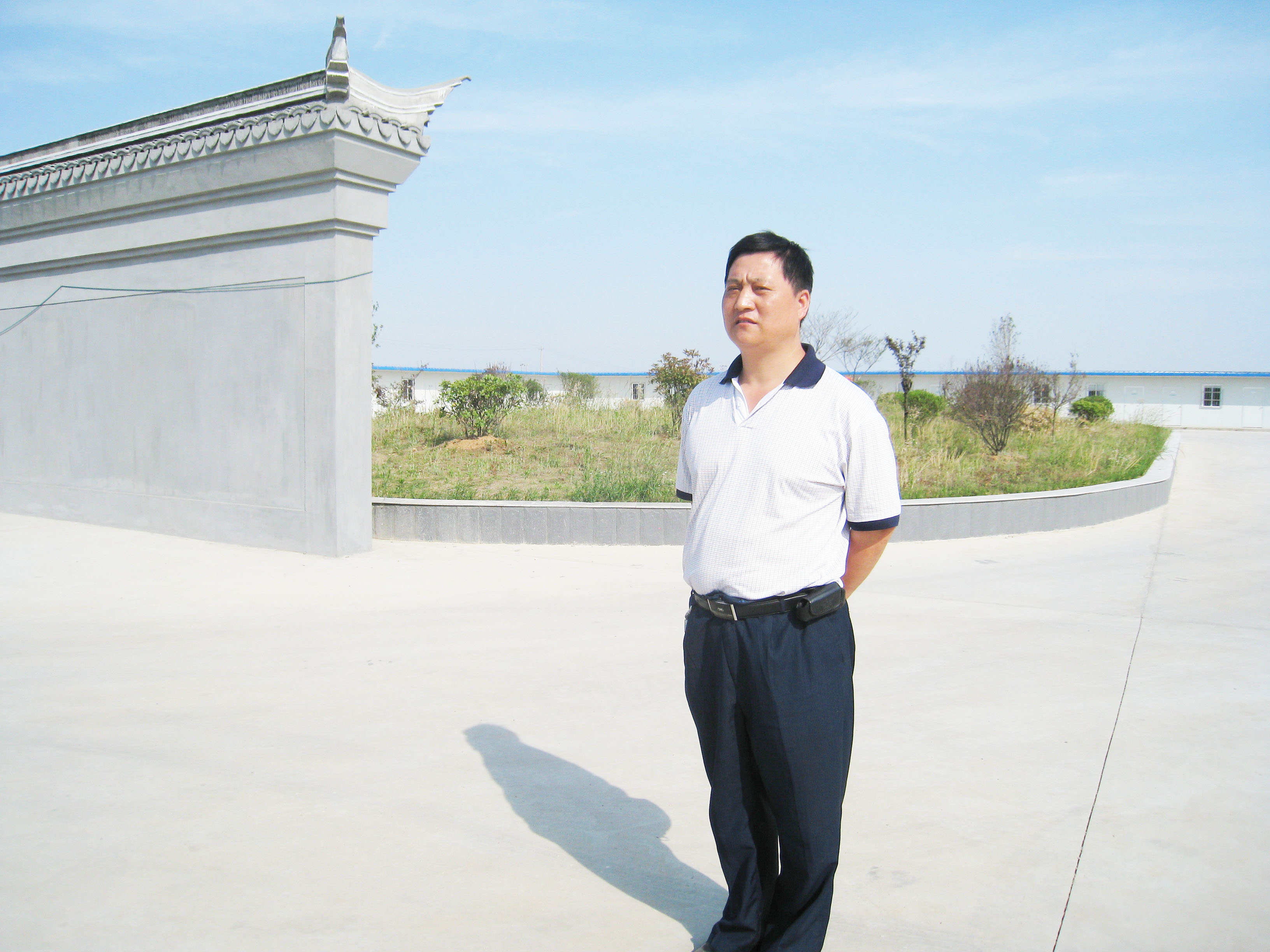阳光的现实主义