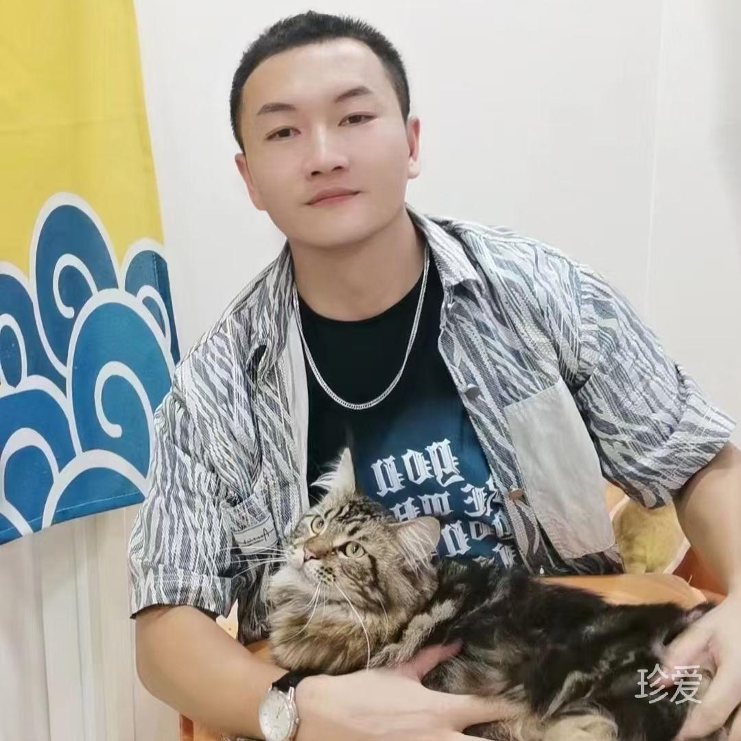 昆