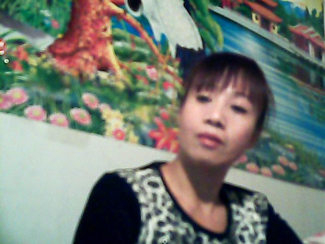 孤舟《自由鱼》