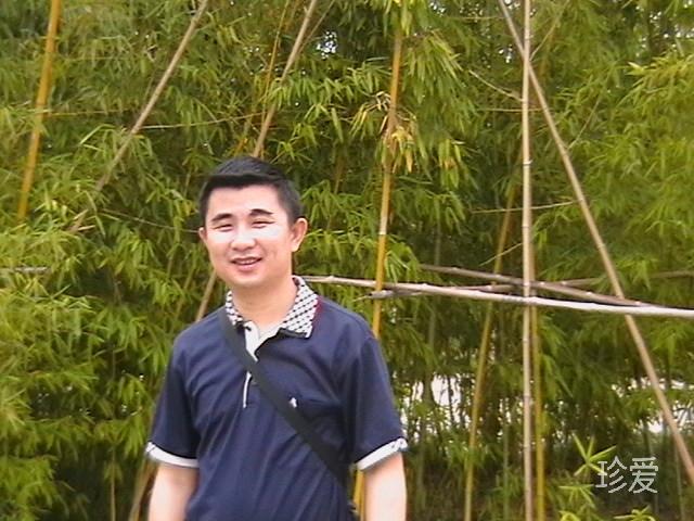 龙在天涯