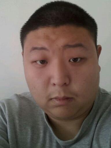 在北风中孤单的狼