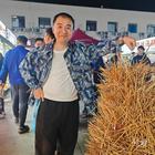 魅影狂魚