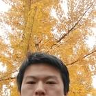 今朝醉