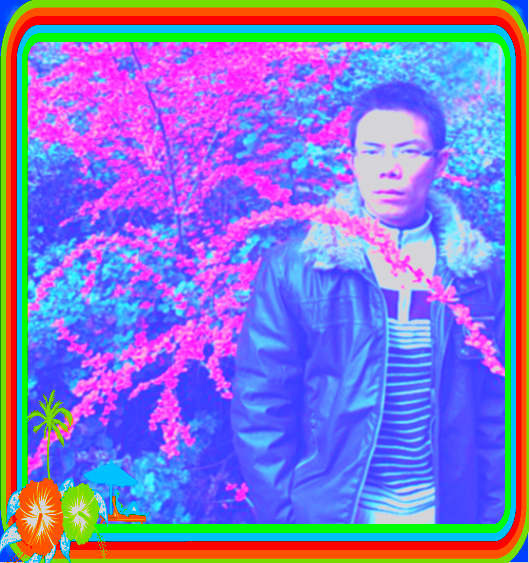 随风
