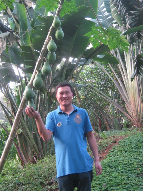 大明佳旺